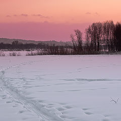 photo "***"