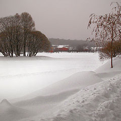 photo "Snowy silence ..."
