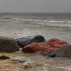 photo "Baltic Sea"