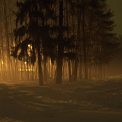 photo "Evening fog"