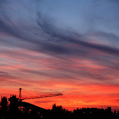 photo "city sunset"