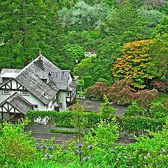 фото "Tupare - New Zealand."