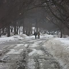 фото "Весна. почти пришла."