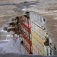 фото "Reflection."