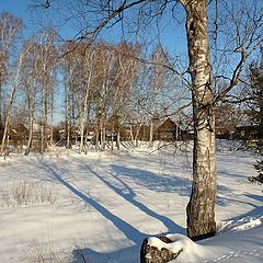 фото "Весенний утренний мороз."