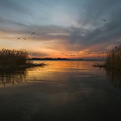 фото "Краски вечернего залива"