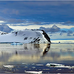 photo "Antarctica"