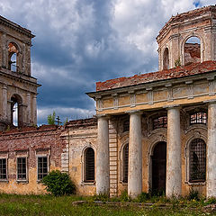 фото "Робкие ростки веры II"