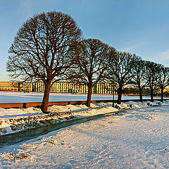 photo "Vasilevskij sunset"