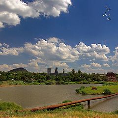 фото "В краю голубиных стай"