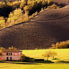 photo "dal colle"