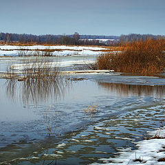 photo "The Ice has gone to a way"