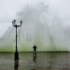 photo "Curtain!"