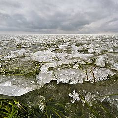 фото "Весенняя прогулка"