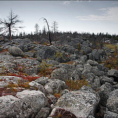 фото "Воттоваара"