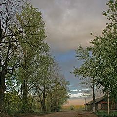 photo "Shcheglovo. The road through the estate of Count. Stable"