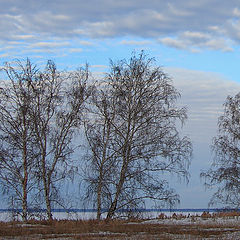 photo "***"