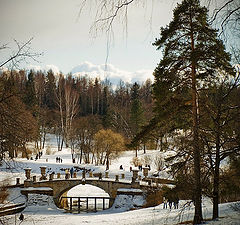 фото "Голландский мотив"