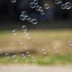 photo "Bubbles"