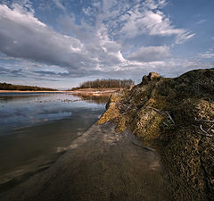 фото "Бердовские зарисовки"