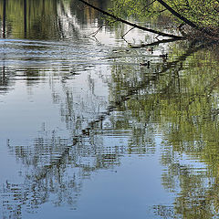 photo "Spring on the lake"