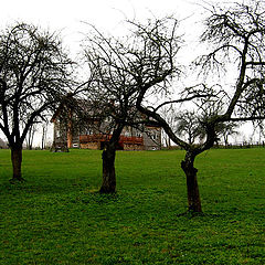 photo "Three sisters"