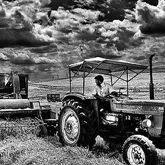 photo "Harvest Time"