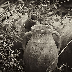 фото "Clay pots"