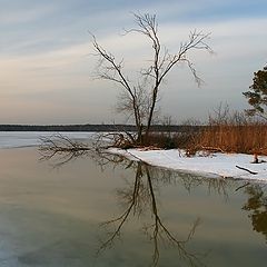 фото "Мартовская"