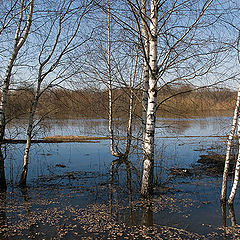 фото "Клязьма"