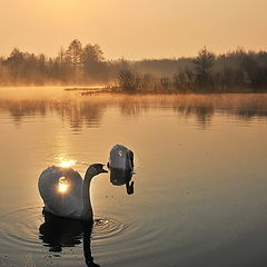 фото "Перевозчик солнца"