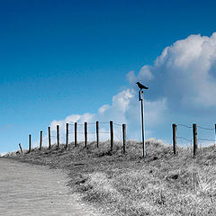 photo "the Hague"