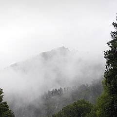 photo "Birth of a Cloud"