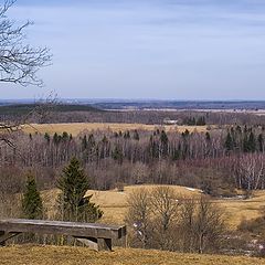 photo "...how far you can see  in the spring..."