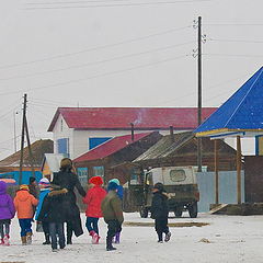 фото "Яркое на сером."