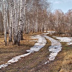 фото "Зима ушла"