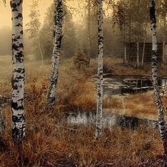 фото "Туман в деревне"