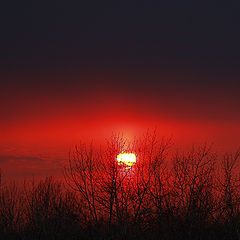 photo "***"
