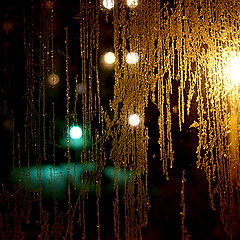 photo "Winter Window"