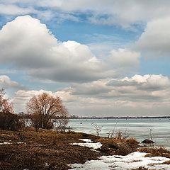 фото "К весне..."