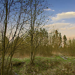 photo "Bridge"