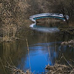 фото "скоро зазеленеет..."