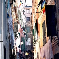 фото "ancient lanes named "caruggi" in Genoa"