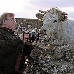 photo "-  Look!!!  it is you!"