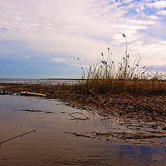 photo "Закат пожар река"