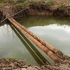 фото "Лужа"