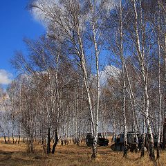 фото "The Hunting bivouac on spring hunt..."