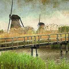 photo "Kinderdijk"