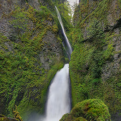 photo "Two green rocks"