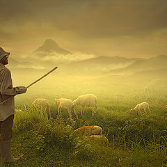 photo "shepherd"